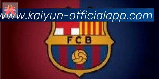 开云体育合作伙伴